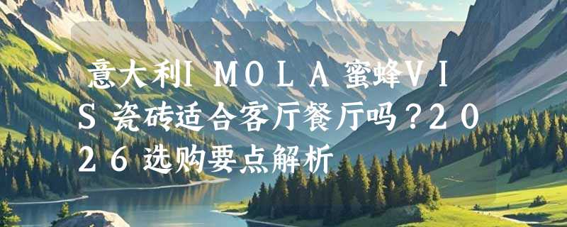 意大利IMOLA蜜蜂VIS瓷砖适合客厅餐厅吗？2026选购要点解析
