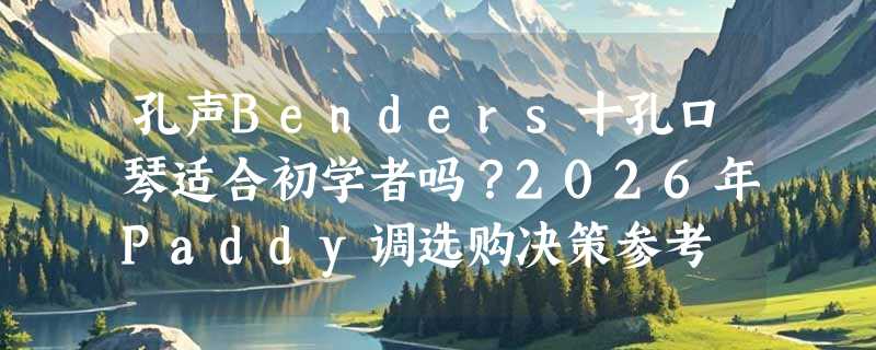 孔声Benders十孔口琴适合初学者吗？2026年Paddy调选购决策参考