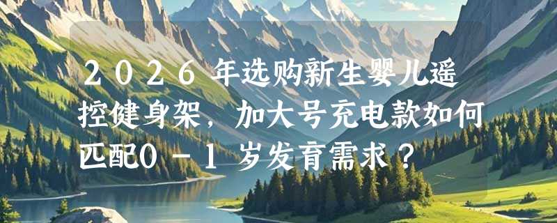 2026年选购新生婴儿遥控健身架，加大号充电款如何匹配0-1岁发育需求？