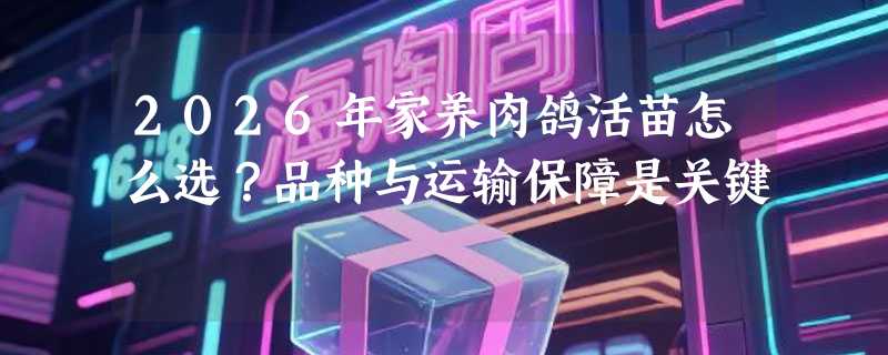 2026年家养肉鸽活苗怎么选？品种与运输保障是关键