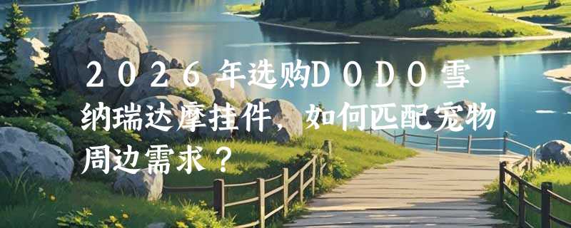 2026年选购DODO雪纳瑞达摩挂件，如何匹配宠物周边需求？