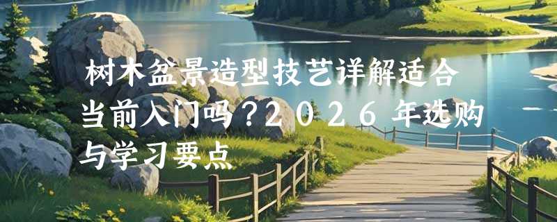 树木盆景造型技艺详解适合当前入门吗？2026年选购与学习要点