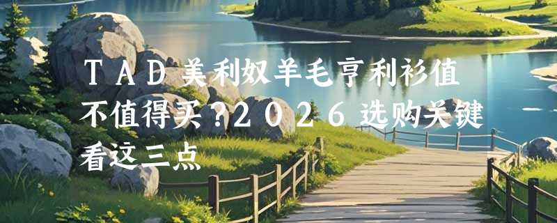 TAD美利奴羊毛亨利衫值不值得买？2026选购关键看这三点
