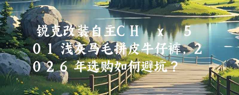锐克改装自主CH x 501浅灰马毛拼皮牛仔裤，2026年选购如何避坑？