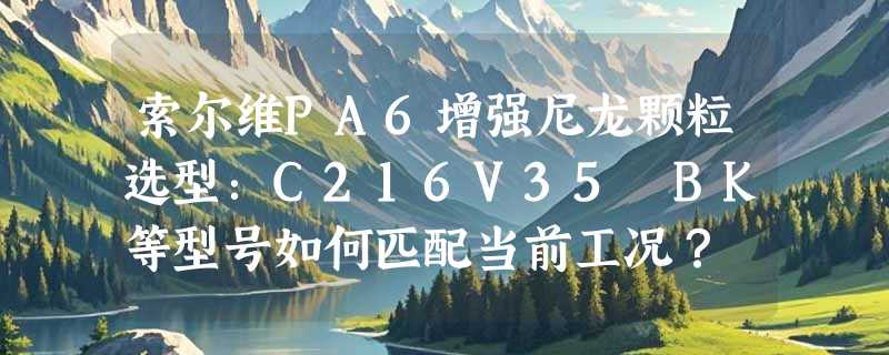 索尔维PA6增强尼龙颗粒选型：C216V35 BK等型号如何匹配当前工况？