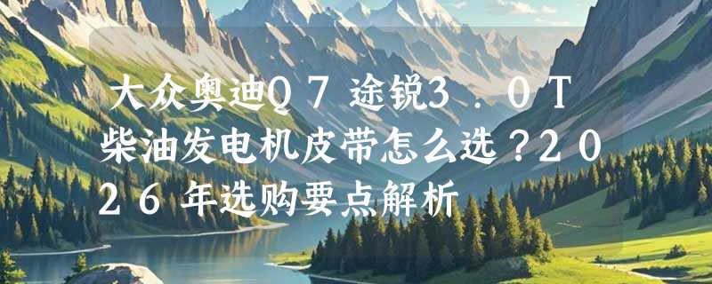 大众奥迪Q7途锐3.0T柴油发电机皮带怎么选？2026年选购要点解析
