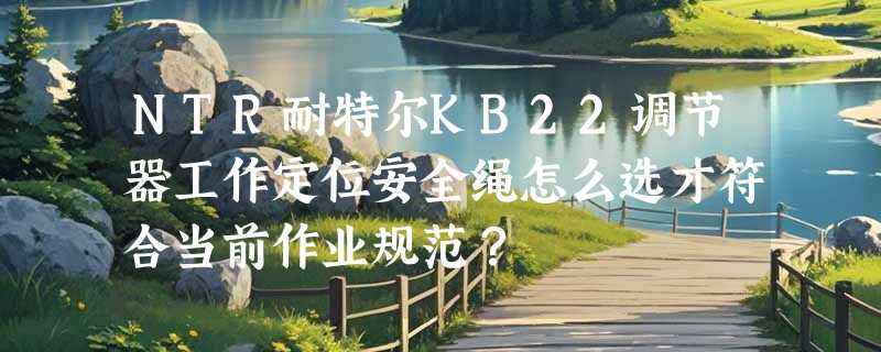 NTR耐特尔KB22调节器工作定位安全绳怎么选才符合当前作业规范？