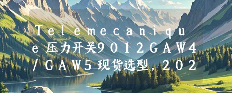 Telemecanique压力开关9012GAW4/GAW5现货选型，2026年如何避坑？