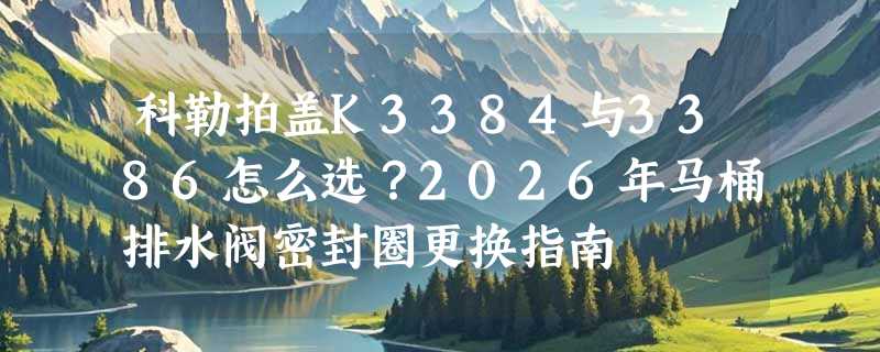 科勒拍盖K3384与3386怎么选？2026年马桶排水阀密封圈更换指南