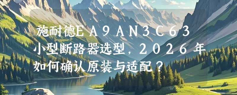 施耐德EA9AN3C63小型断路器选型，2026年如何确认原装与适配？