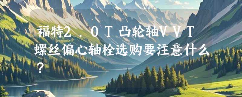 福特2.0T凸轮轴VVT螺丝偏心轴栓选购要注意什么？