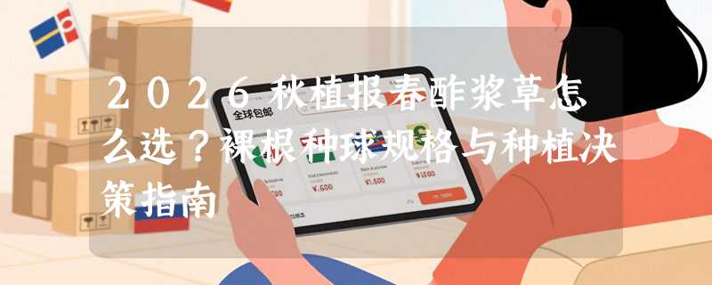 2026秋植报春酢浆草怎么选？裸根种球规格与种植决策指南