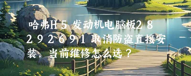 哈弗H5发动机电脑板28292691取消防盗直接安装，当前维修怎么选？