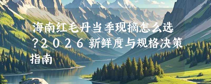 海南红毛丹当季现摘怎么选？2026新鲜度与规格决策指南
