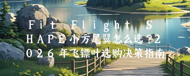 Fit Flight SHAPE小方尾翼怎么选？2026年飞镖叶选购决策指南