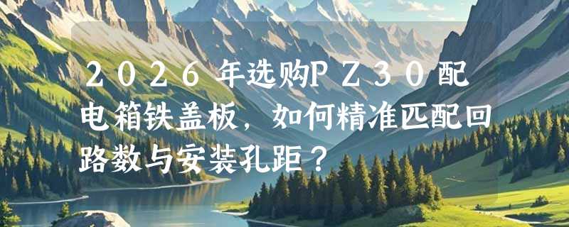 2026年选购PZ30配电箱铁盖板，如何精准匹配回路数与安装孔距？