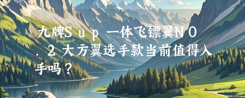 九牌Sup一体飞镖翼NO.2大方翼选手款当前值得入手吗？