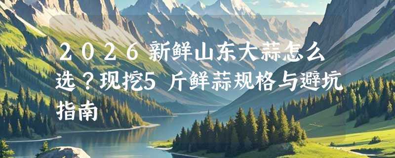 2026新鲜山东大蒜怎么选？现挖5斤鲜蒜规格与避坑指南