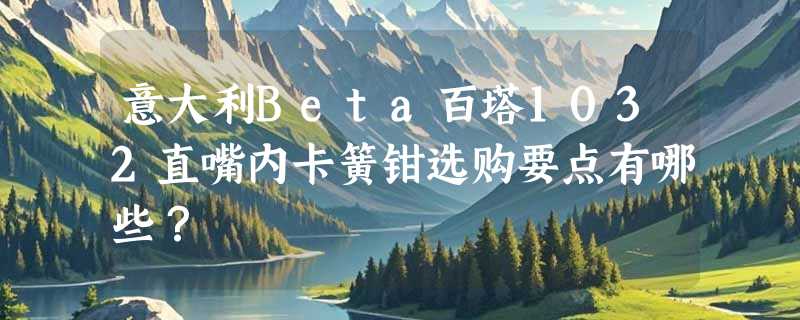 意大利Beta百塔1032直嘴内卡簧钳选购要点有哪些？