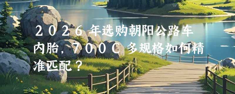 2026年选购朝阳公路车内胎，700C多规格如何精准匹配？