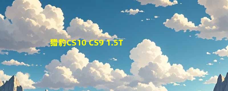 猎豹CS10 CS9 1.5T点火线圈怎么选才匹配CF4G15T发动机？