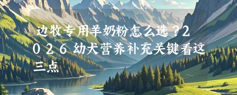 边牧专用羊奶粉怎么选？2026幼犬营养补充关键看这三点