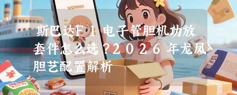 斯巴达F1电子管胆机功放套件怎么选？2026年龙凤胆艺配置解析