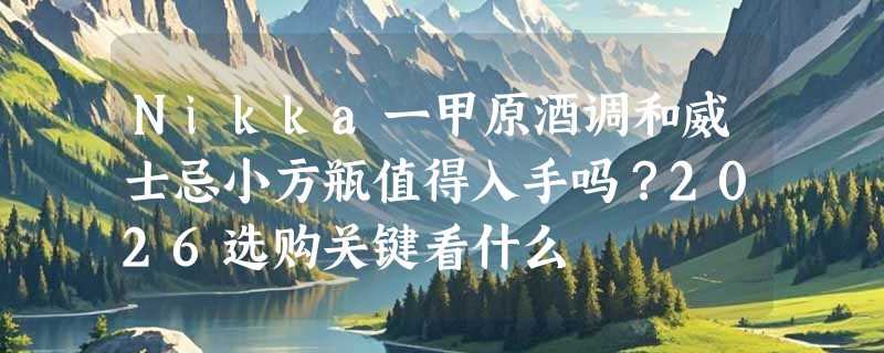 Nikka一甲原酒调和威士忌小方瓶值得入手吗？2026选购关键看什么