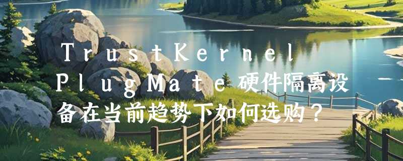 TrustKernel PlugMate硬件隔离设备在当前趋势下如何选购？