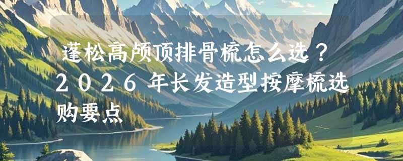 蓬松高颅顶排骨梳怎么选？2026年长发造型按摩梳选购要点