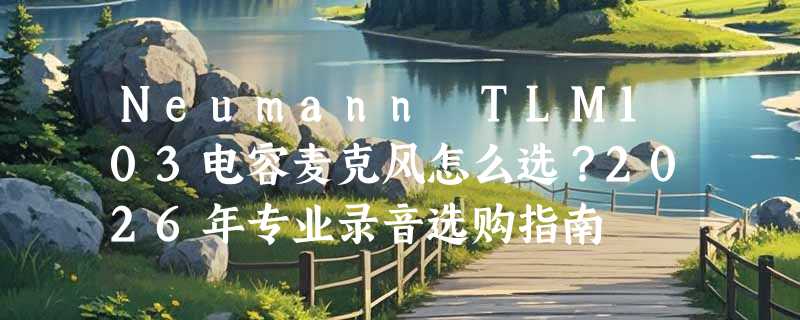 Neumann TLM103电容麦克风怎么选？2026年专业录音选购指南