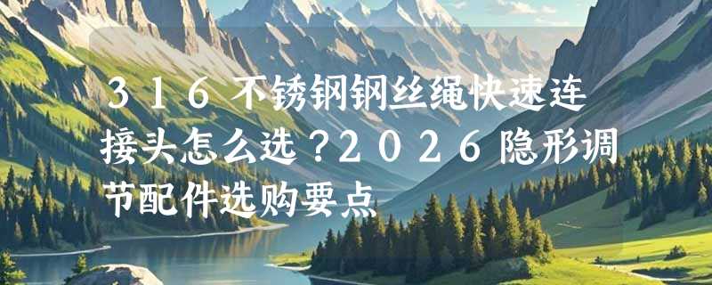 316不锈钢钢丝绳快速连接头怎么选？2026隐形调节配件选购要点