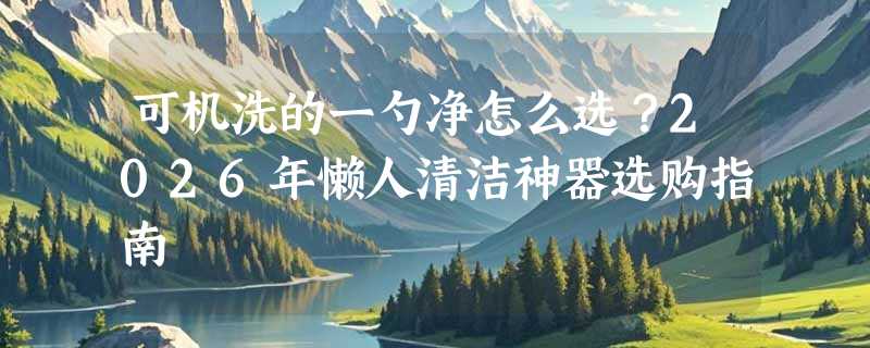 可机洗的一勺净怎么选？2026年懒人清洁神器选购指南