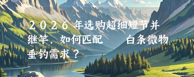 2026年选购超细短节并继竿，如何匹配鳑鲏白条微物垂钓需求？