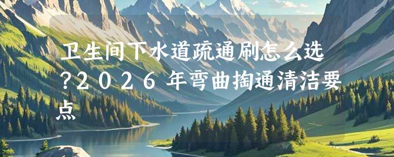 卫生间下水道疏通刷怎么选？2026年弯曲掏通清洁要点