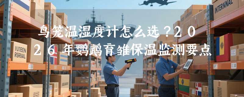 鸟笼温湿度计怎么选？2026年鹦鹉育雏保温监测要点