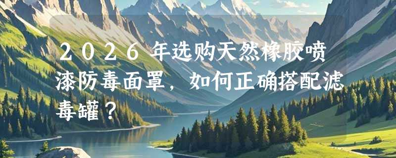 2026年选购天然橡胶喷漆防毒面罩，如何正确搭配滤毒罐？