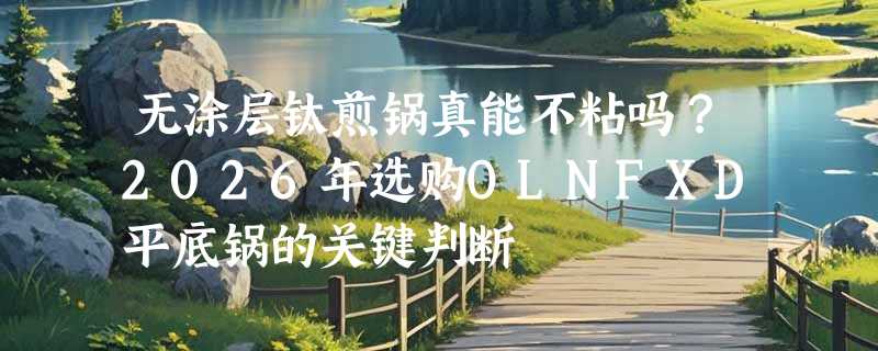 无涂层钛煎锅真能不粘吗？2026年选购OLNFXD平底锅的关键判断