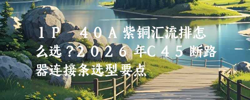 1P 40A紫铜汇流排怎么选？2026年C45断路器连接条选型要点