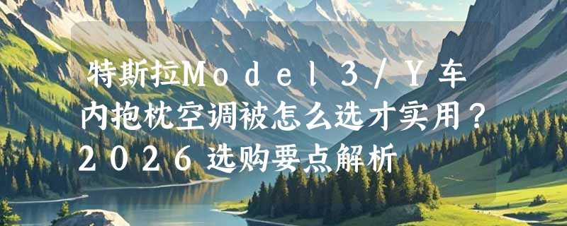 特斯拉Model3/Y车内抱枕空调被怎么选才实用？2026选购要点解析