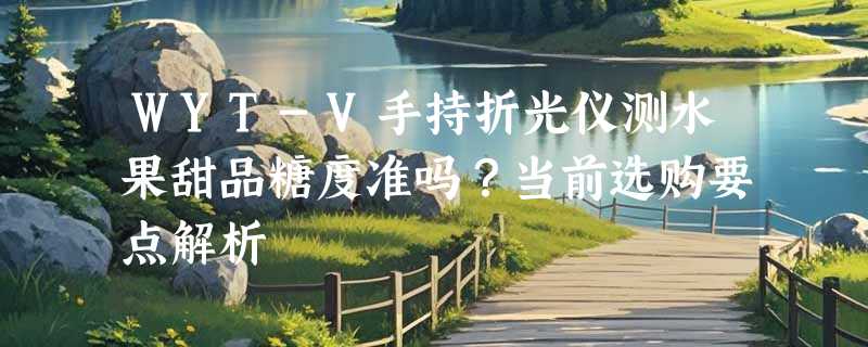 WYT-V手持折光仪测水果甜品糖度准吗？当前选购要点解析