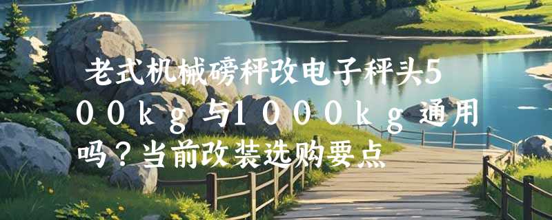 老式机械磅秤改电子秤头500kg与1000kg通用吗？当前改装选购要点