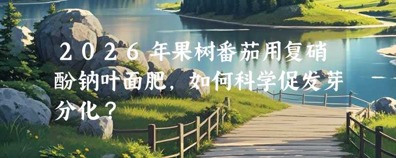2026年果树番茄用复硝酚钠叶面肥，如何科学促发芽分化？