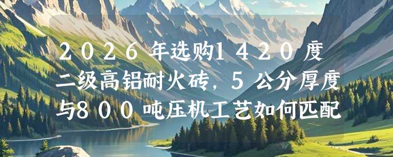 2026年选购1420度二级高铝耐火砖，5公分厚度与800吨压机工艺如何匹配高温窑炉需求？