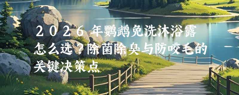 2026年鹦鹉免洗沐浴露怎么选？除菌除臭与防咬毛的关键决策点