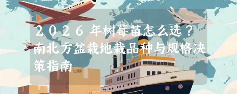 2026年树莓苗怎么选？南北方盆栽地栽品种与规格决策指南