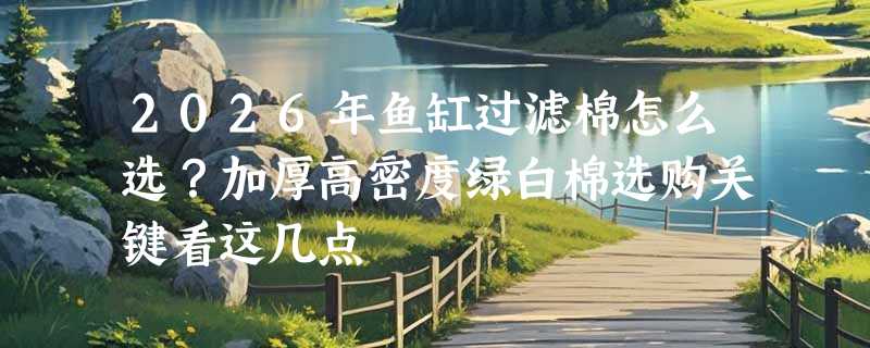 2026年鱼缸过滤棉怎么选？加厚高密度绿白棉选购关键看这几点