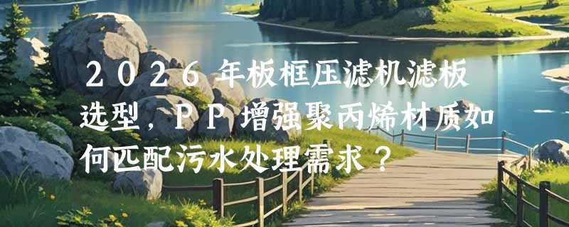 2026年板框压滤机滤板选型，PP增强聚丙烯材质如何匹配污水处理需求？