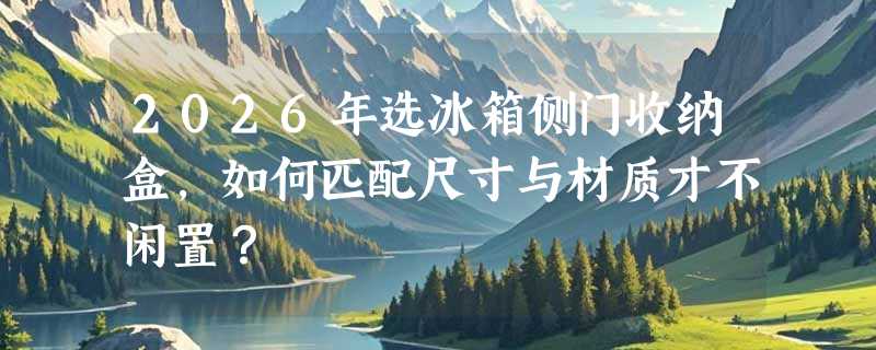 2026年选冰箱侧门收纳盒，如何匹配尺寸与材质才不闲置？