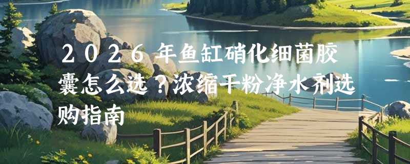 2026年鱼缸硝化细菌胶囊怎么选？浓缩干粉净水剂选购指南